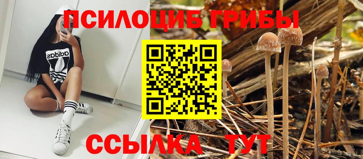 Армавир  Галлюциногенные грибы MAGIC MUSHROOMS  Вход с VPN 