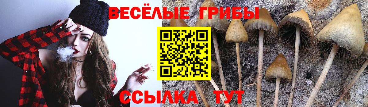 Галлюциногенные грибы GOLDEN TEACHER Армавир